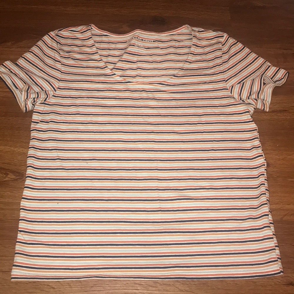 American Eagle striped crop top